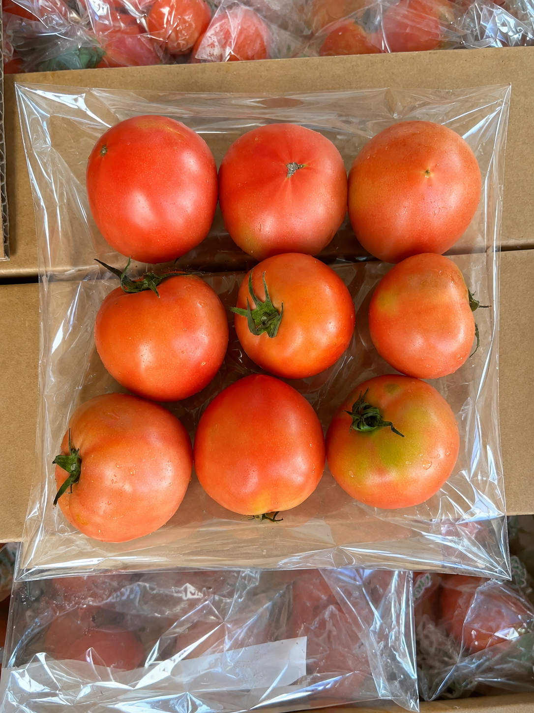 Tomato Value pack 3packs