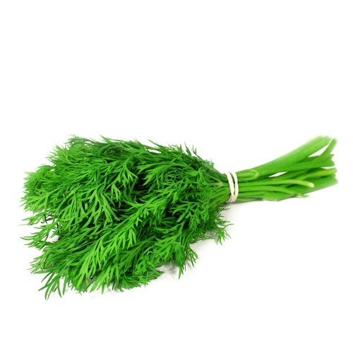 Fresh Dil leaves/Shepu leaves bunch