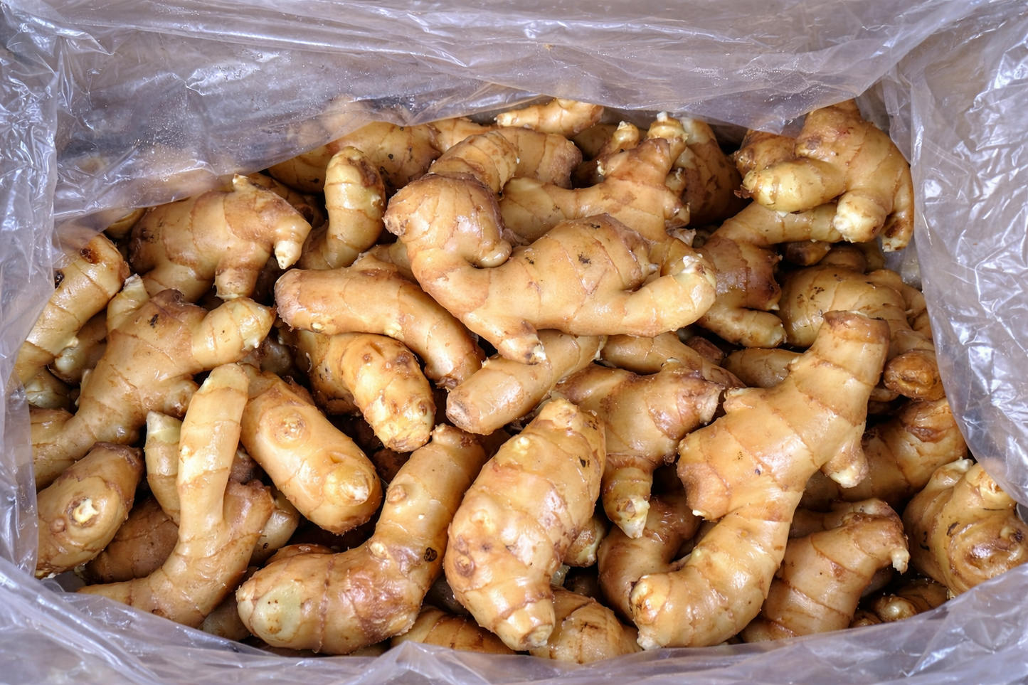Ginger 250g