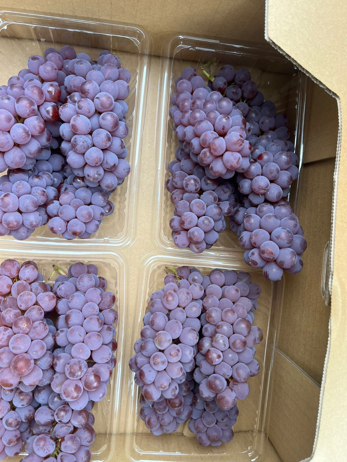 Grapes