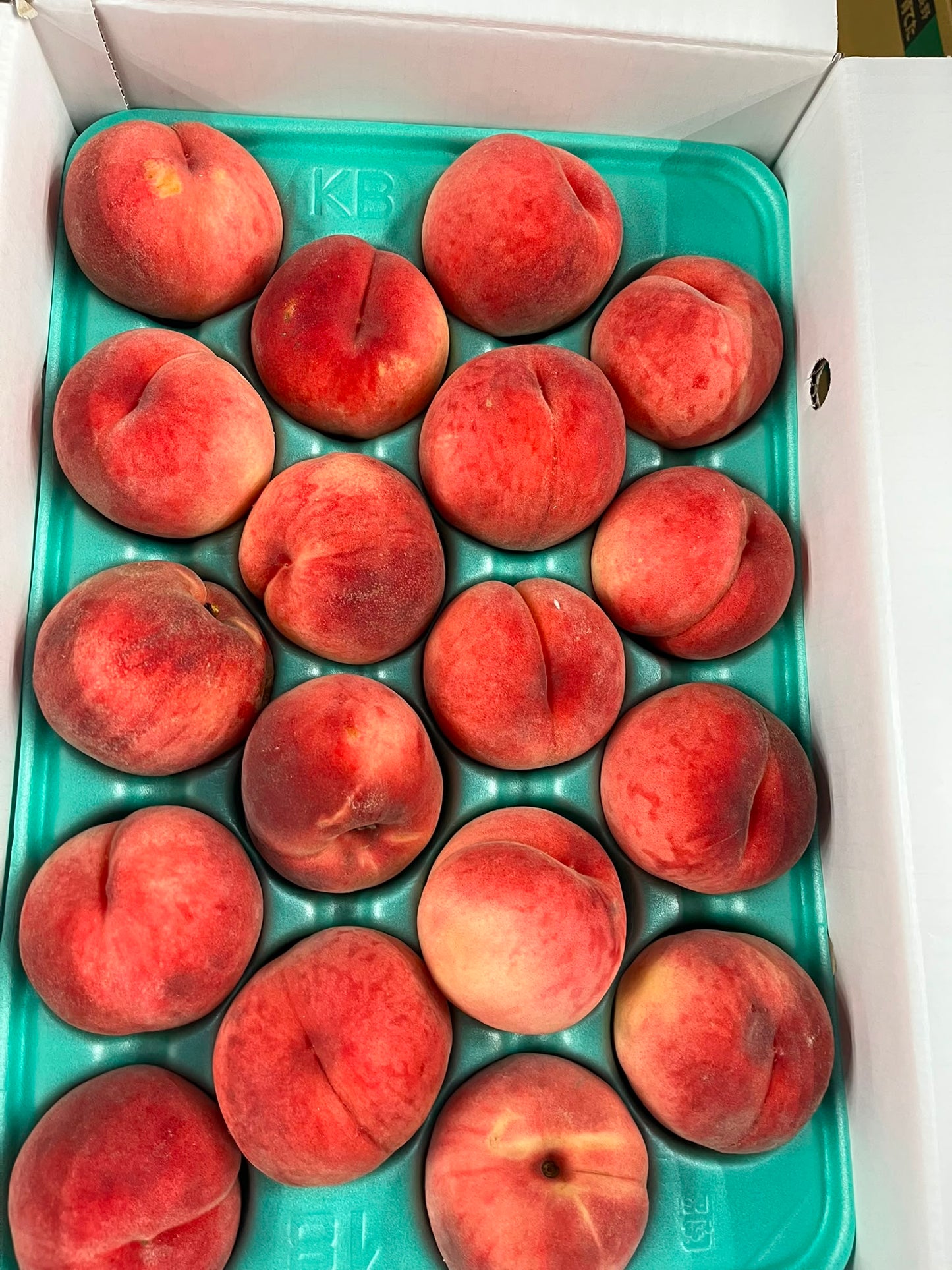 Japanese peaches (momo) 1 pc