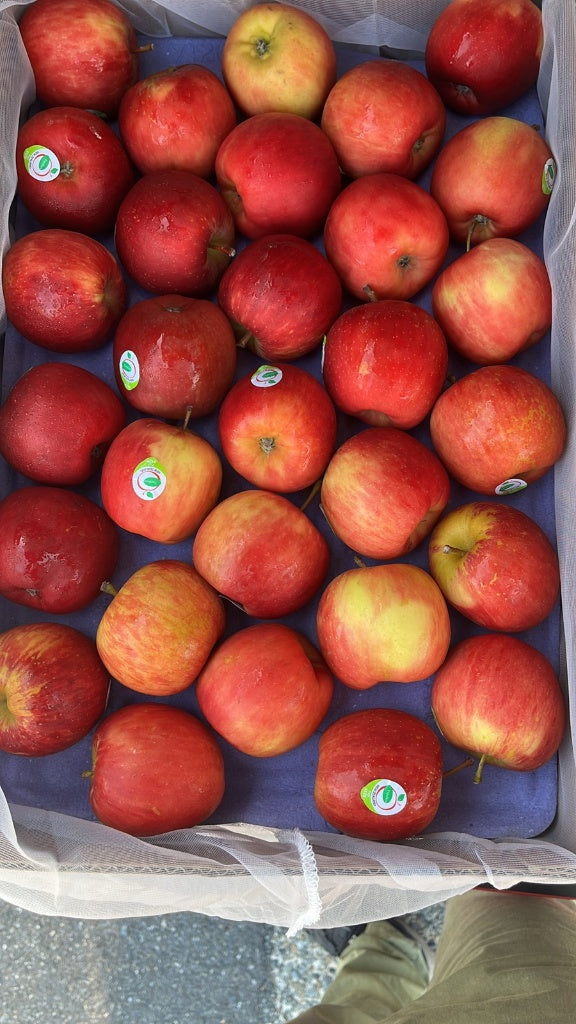 Apple 4pc