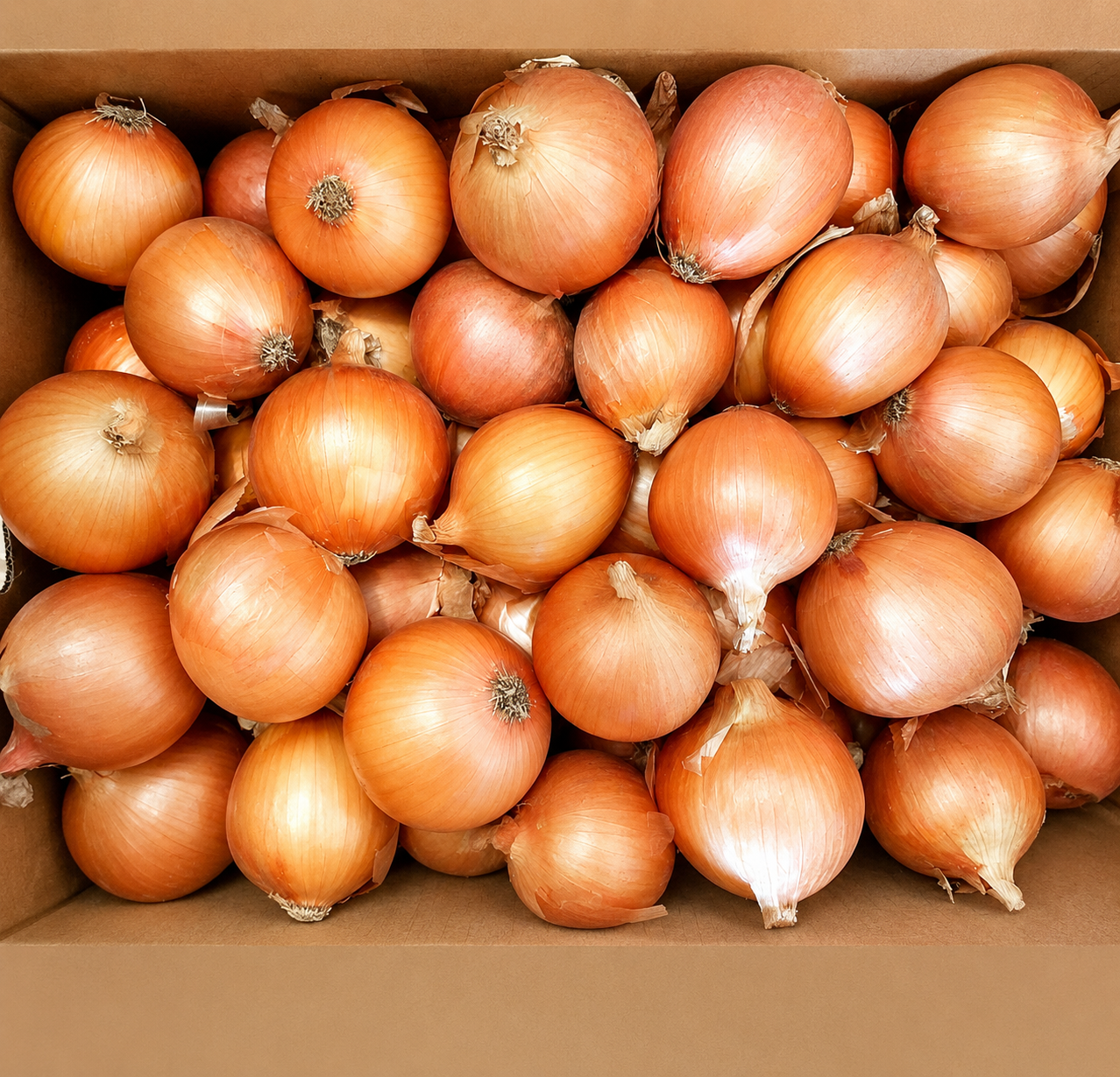 White onion 2kg Value pack