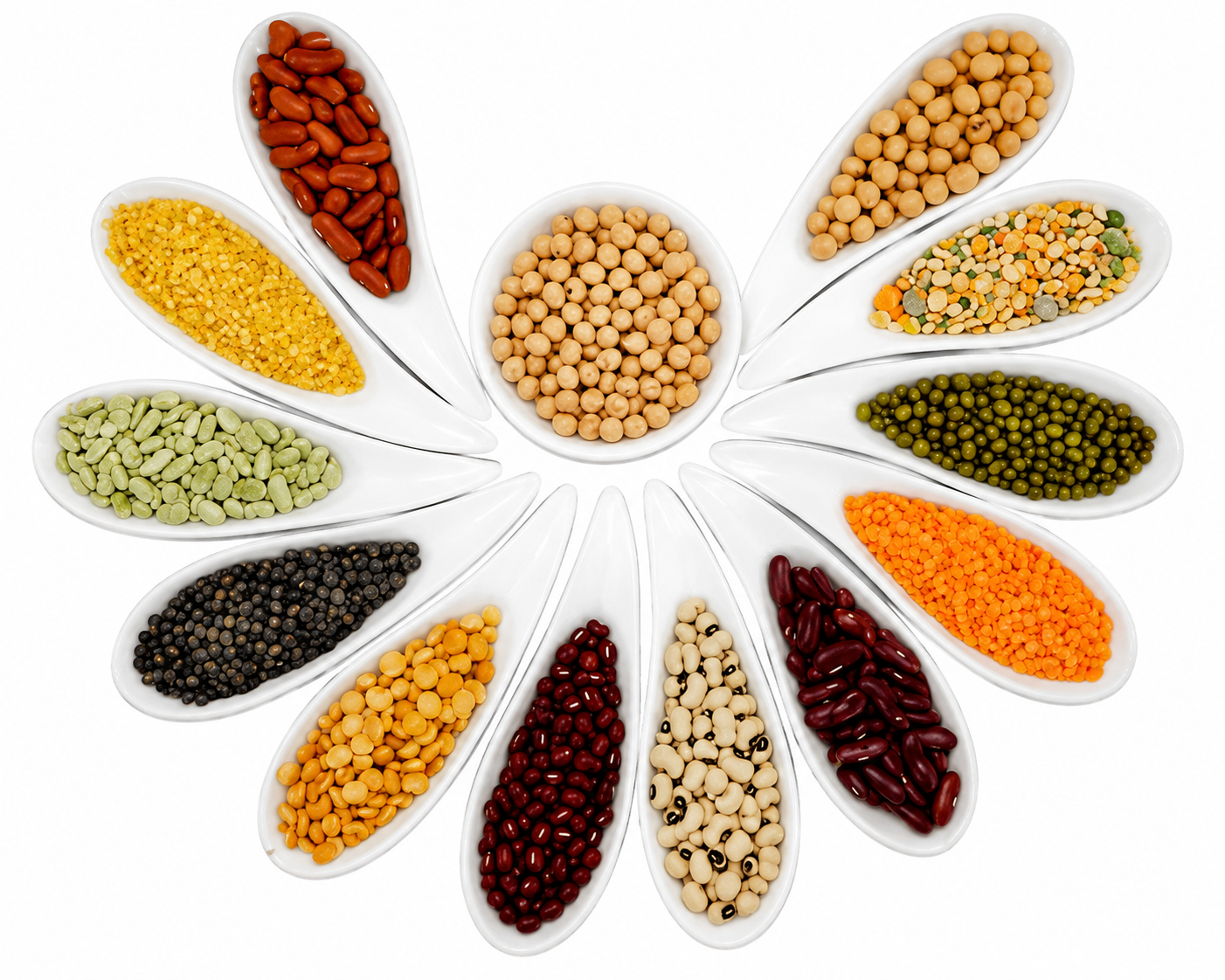 DAL