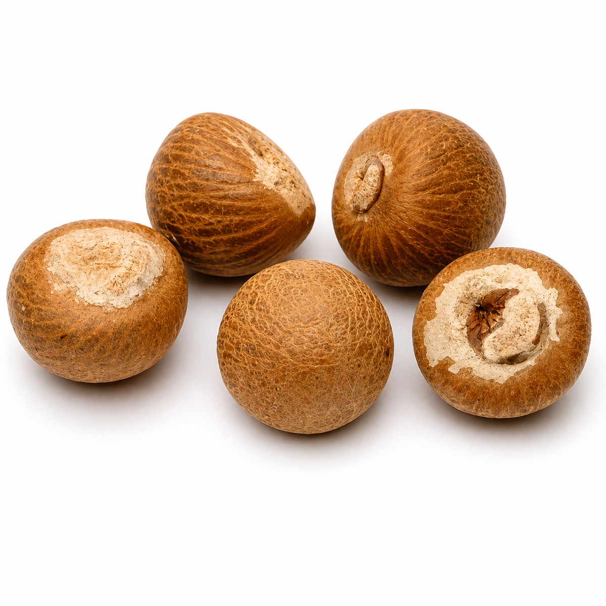 Betel Nut whole 5 pc