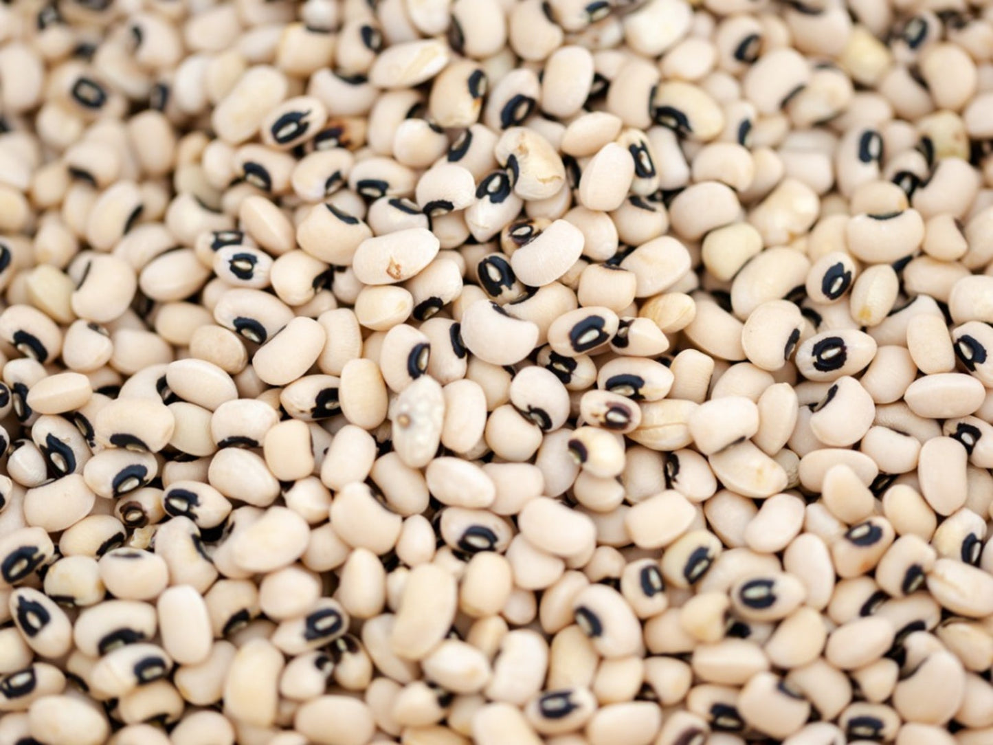 Black eye pea/Bobbarlu/White Lobia (Chawla Black eye 1kg)