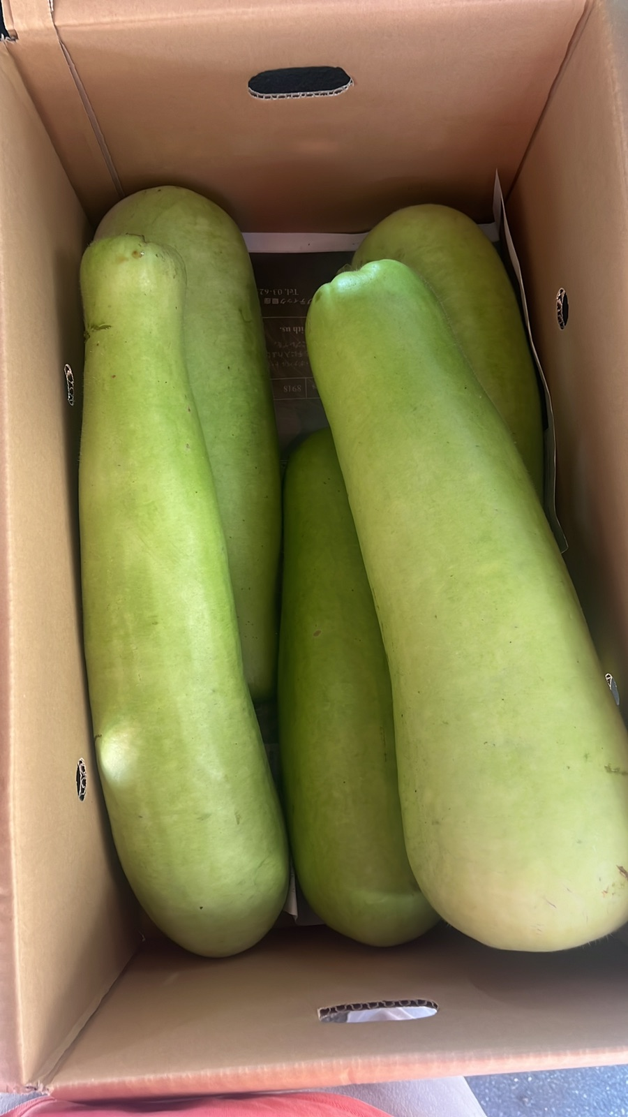 Bottle gourd 500g