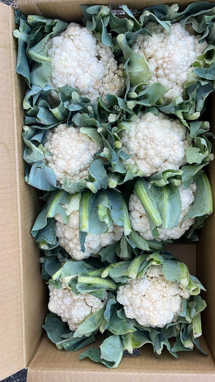 Fresh Cauliflower 1 pc
