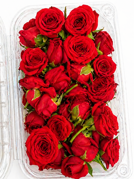 Button Red Roses 100gm
