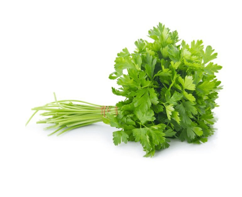 Coriander 100g