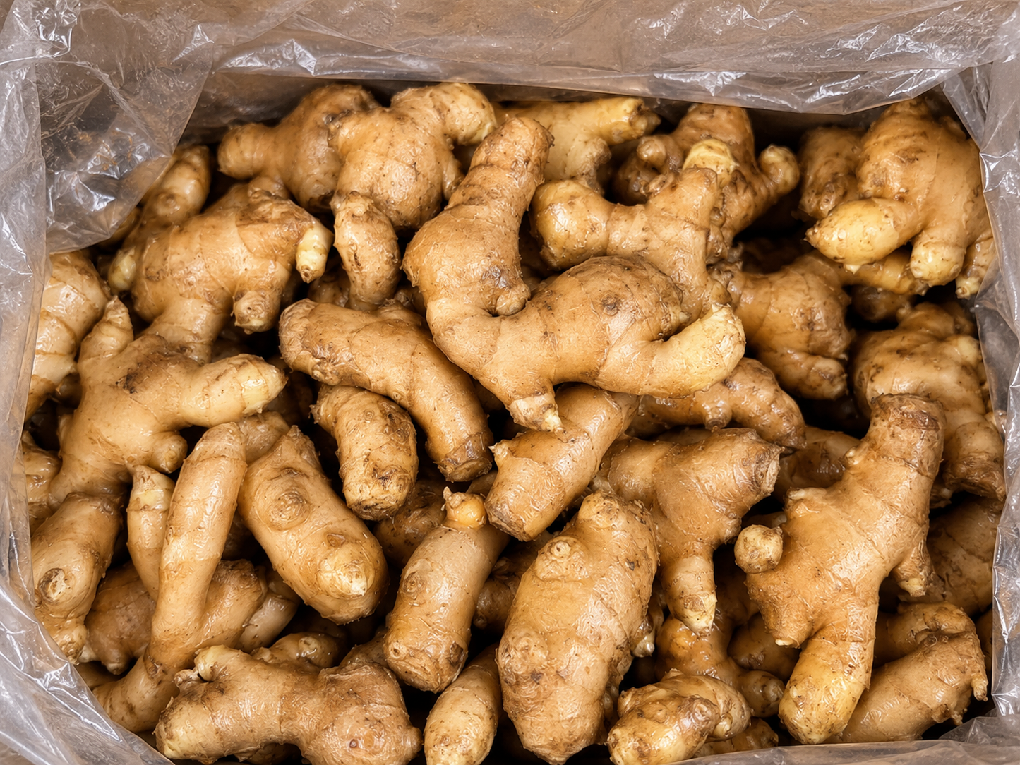 Ginger