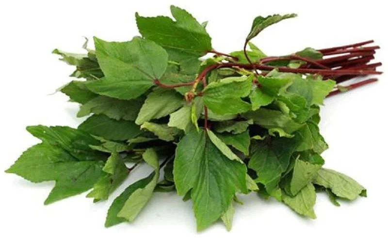 Gongura leaves 1 bunch