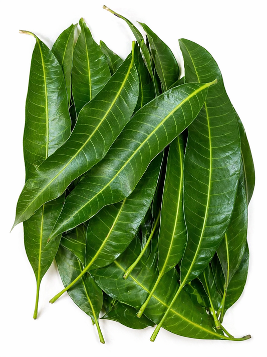 Mango leaves 1 pack