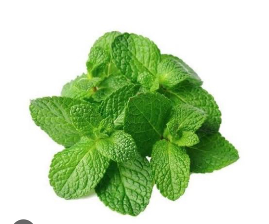 Fresh mint 1 pack