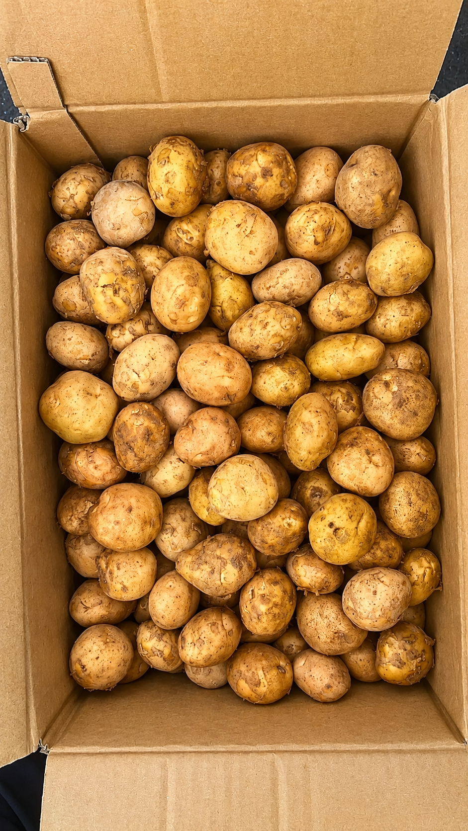 Potato