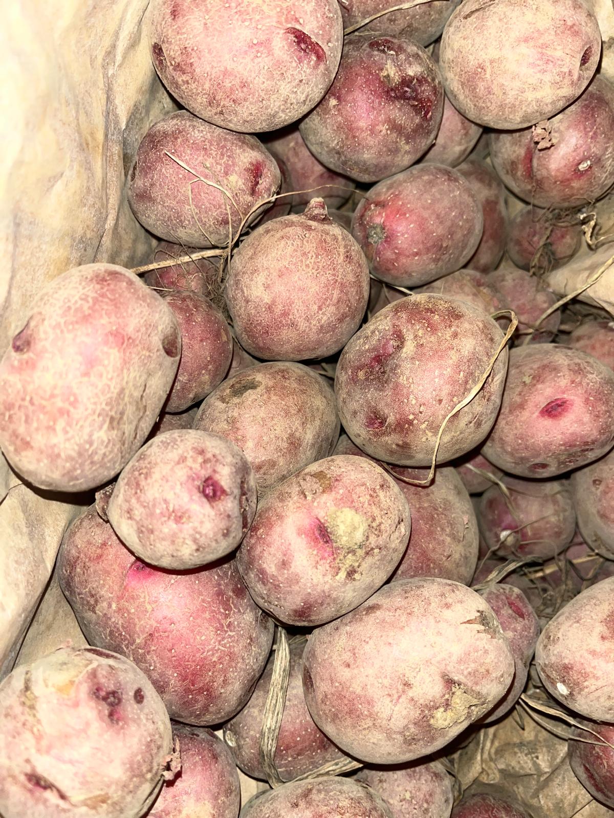 Red Potato 500gm