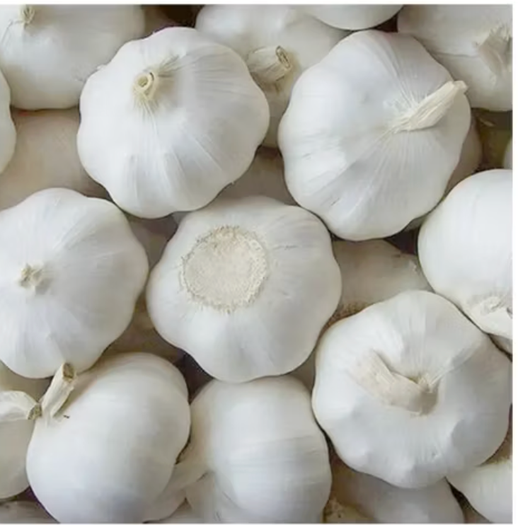 Garlic 500g