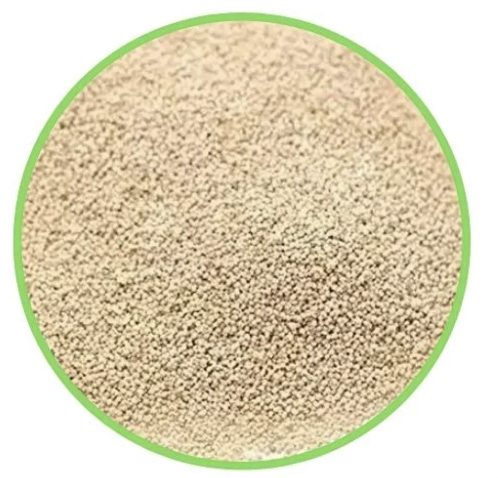 Poppy Seed 100g/ Kasa kasa