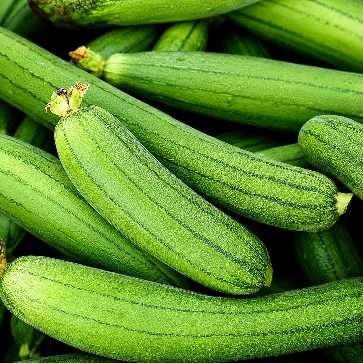 Fresh Sponge Gourd (Turai)1 piece
