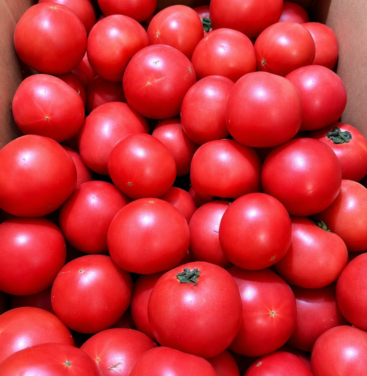 Tomato