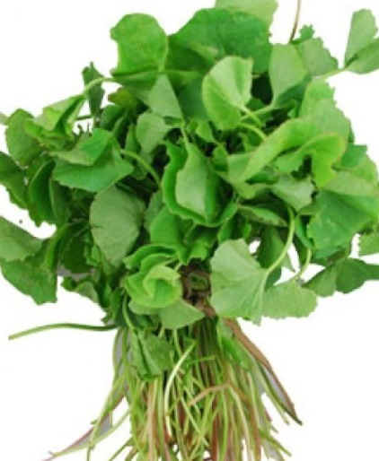Vallarai keerai/Gotu Kola/Brahmi Boot/ Swaraswataku 1 bunch