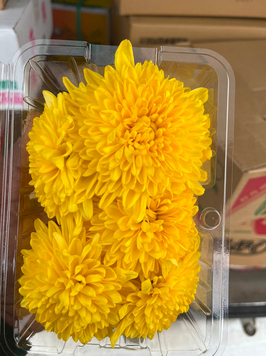 Chrysanthemum Flower pack