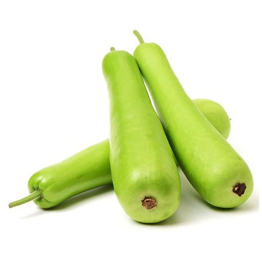 Bottle gourd 1 pc
