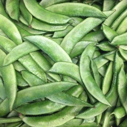 Broad Beans/ Avarakkai 250g
