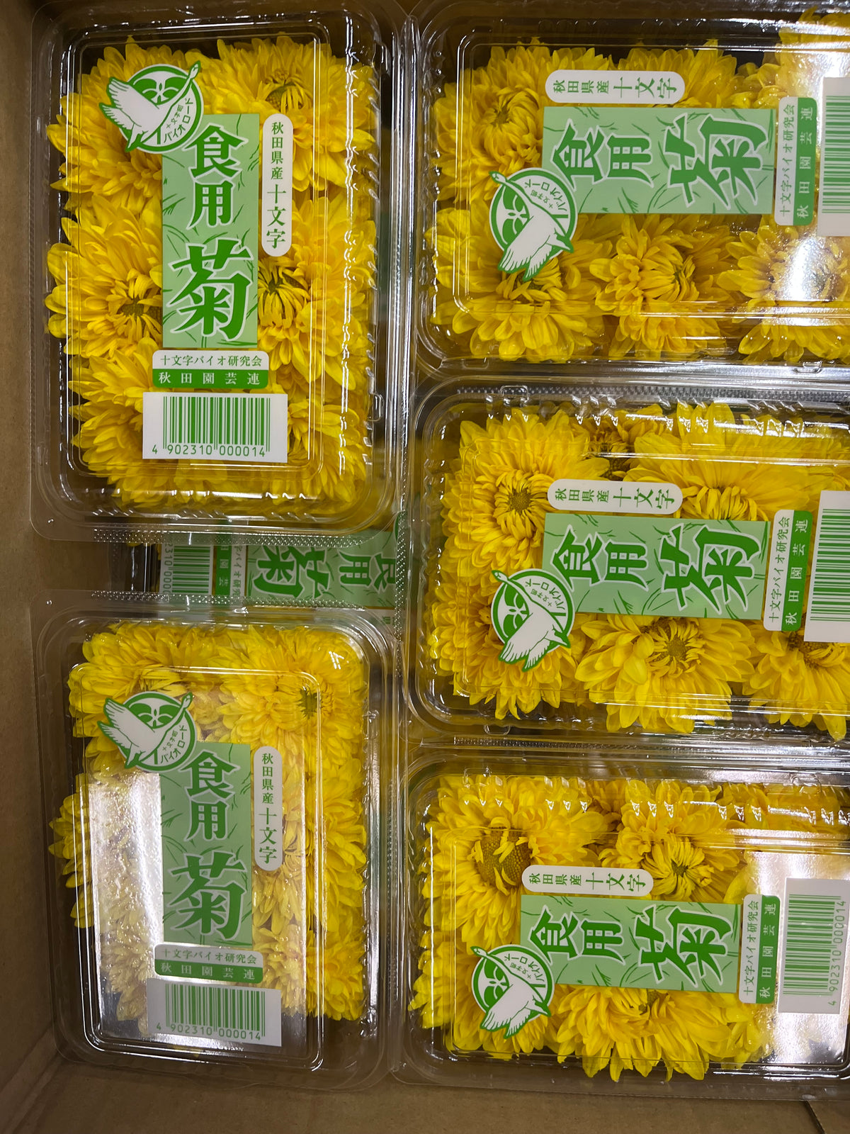 Chammanthi Flower 1 box