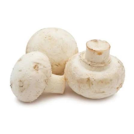 Mushroom 1 Pack(200g)