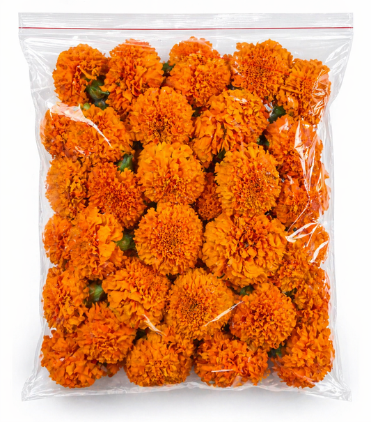 Orange Marrygold 1 pack
