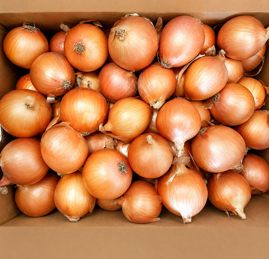 White onion 5 kg Value pack